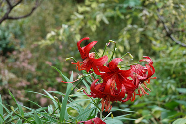 DSC08570_R