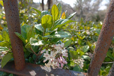 DSC00564_R