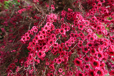 DSC07643_R