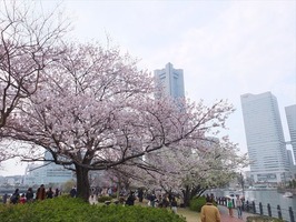 DSCF8014_R
