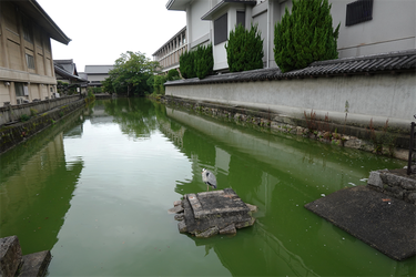 DSC09684_R