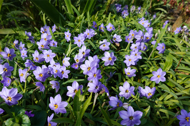 DSC06443_R