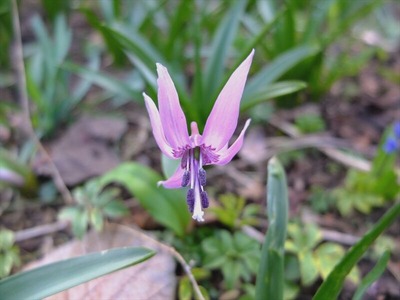 DSCF4699_R