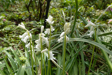DSC06554_R