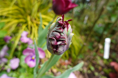 DSC06547_R