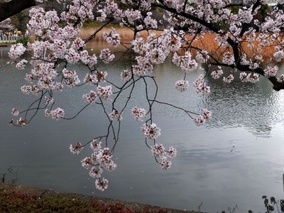 DSCF8130_R