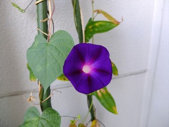 DSCF5999_R