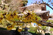 DSCF0741_R