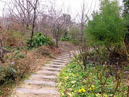 DSCF6794_R