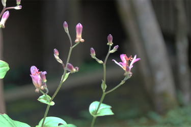 DSC09155_R