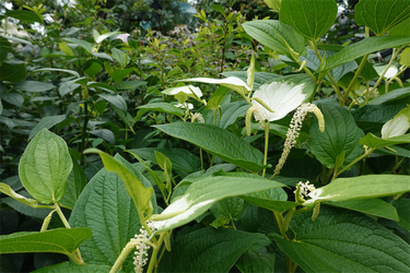 DSC08372_R