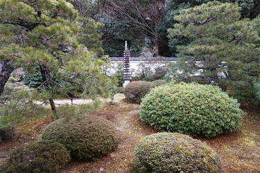 DSC09795_R