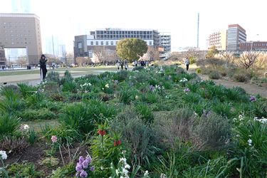 DSC00602_R