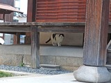 DSCF4672_R