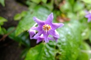 DSCF2368_R