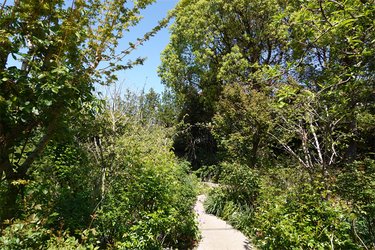 DSC06622_R