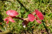 DSCF2036_R