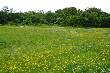 DSC02387_R