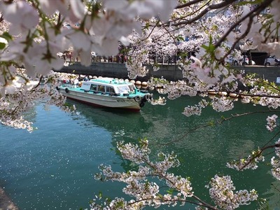 DSCF8253_R