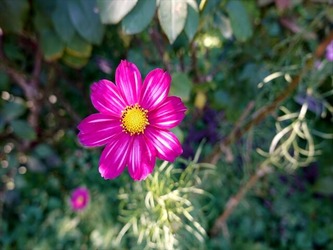DSC02651_R