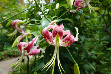 DSC08733_R