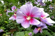 DSCF3855_R