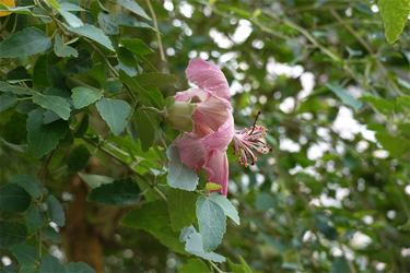 DSC00035_R