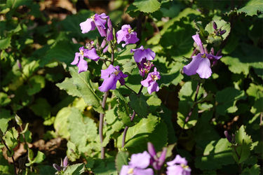 DSC05845_R