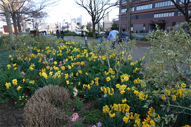 DSC00600_R