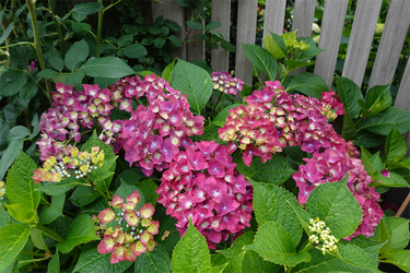 DSC08207_R