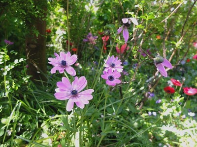 DSCF5543_R
