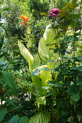 DSC08869_R