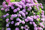 DSCF3080_R