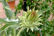 DSCF3133_R