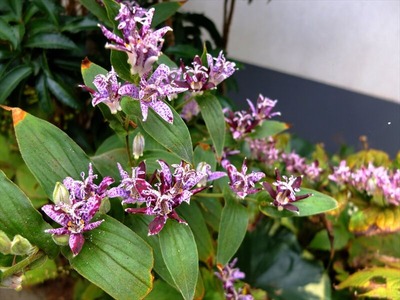 DSCF9026_R