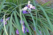 DSCF0764_R