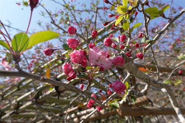 DSC06270_R