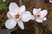 DSCF1818_R