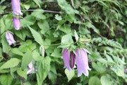 DSCF3055_R