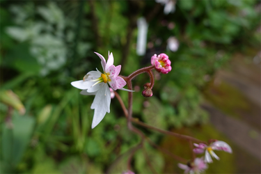 DSC07563_R