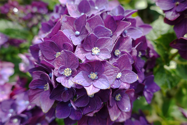 DSC08506_R
