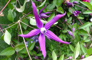 DSCF3166_R