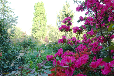 DSC06755_R
