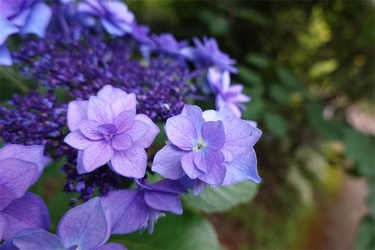 DSC08296_R
