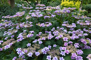 DSC08038_R