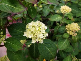 DSCF0255_R