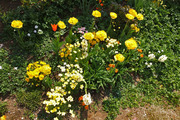 DSCF1042_R