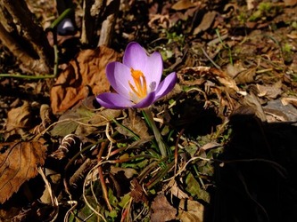 DSCF8299_R
