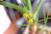 DSCF3826_R