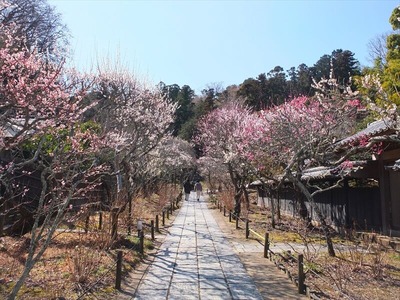 DSCF1049_R